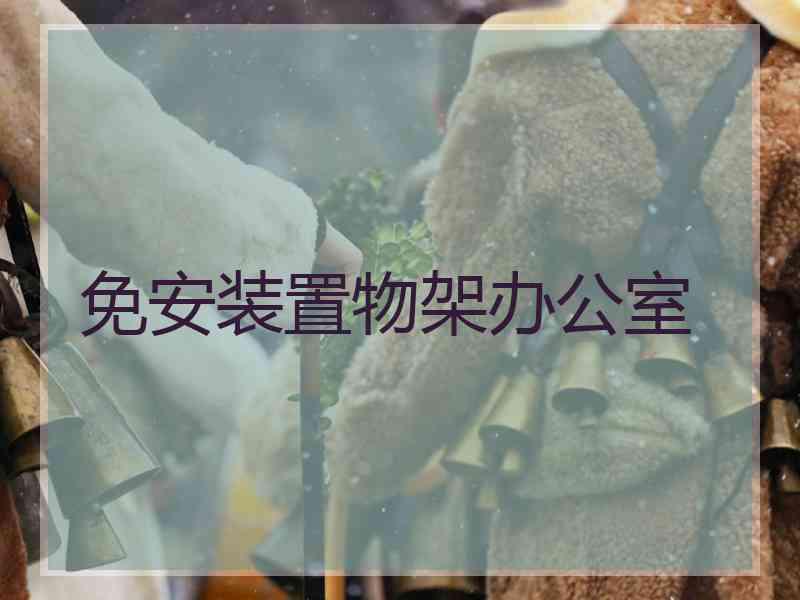 免安装置物架办公室