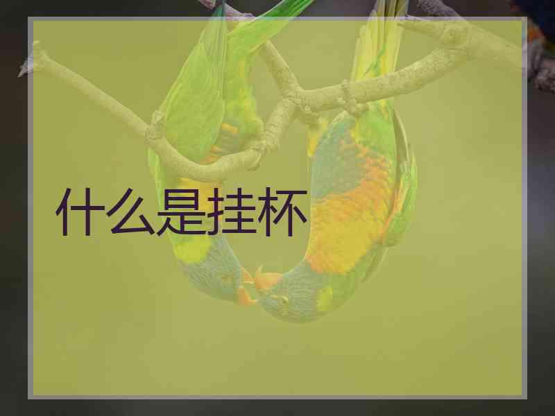 什么是挂杯