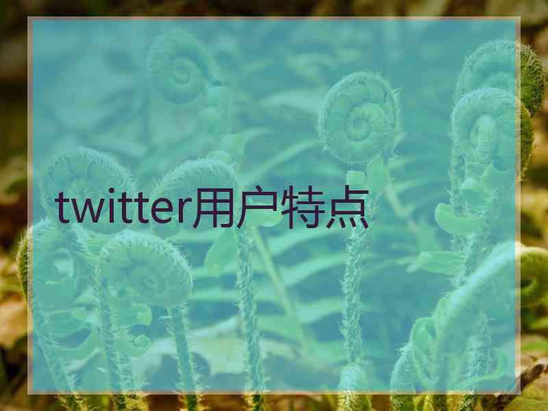 twitter用户特点