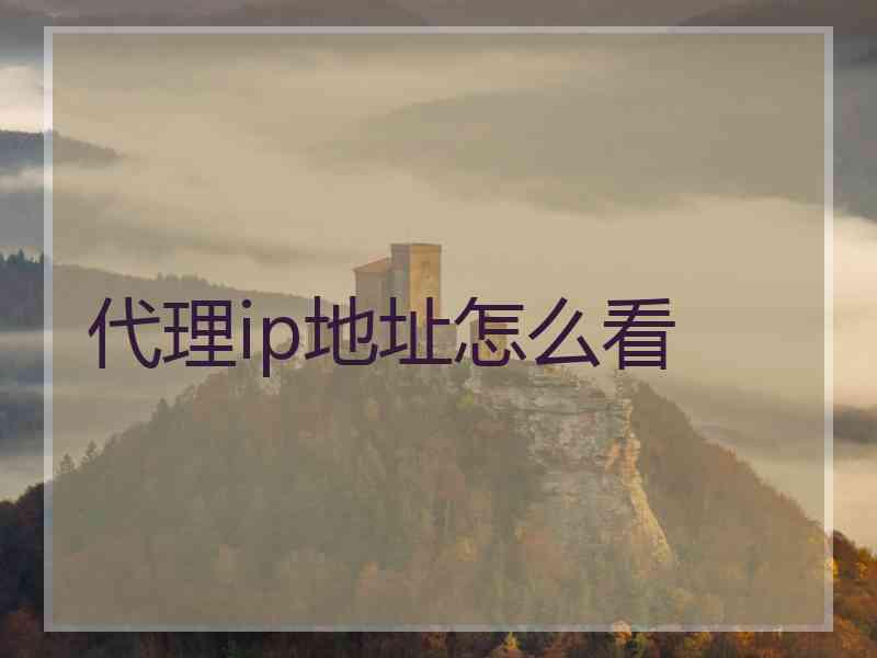 代理ip地址怎么看