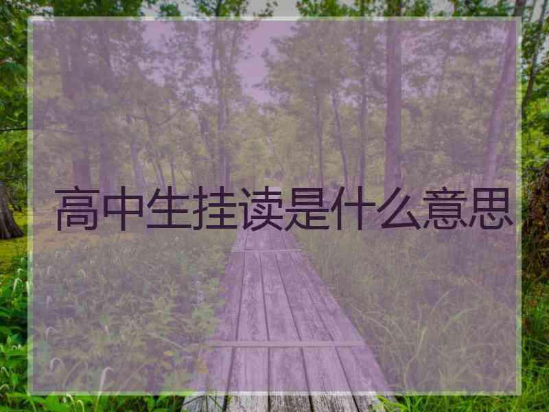 高中生挂读是什么意思