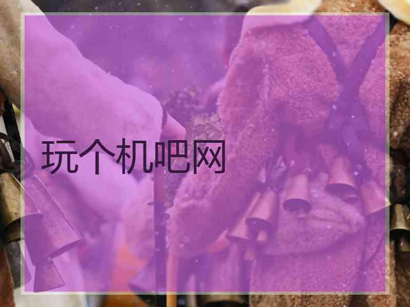 玩个机吧网