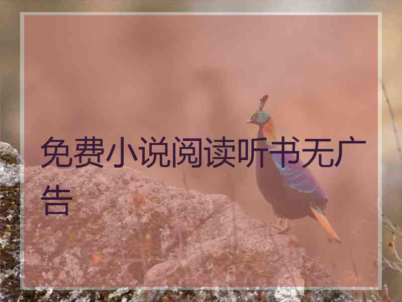 免费小说阅读听书无广告