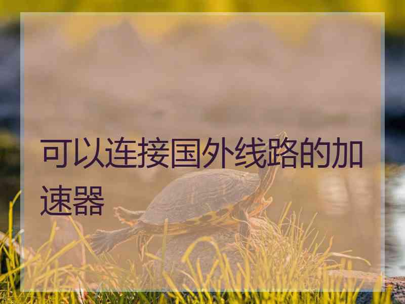 可以连接国外线路的加速器