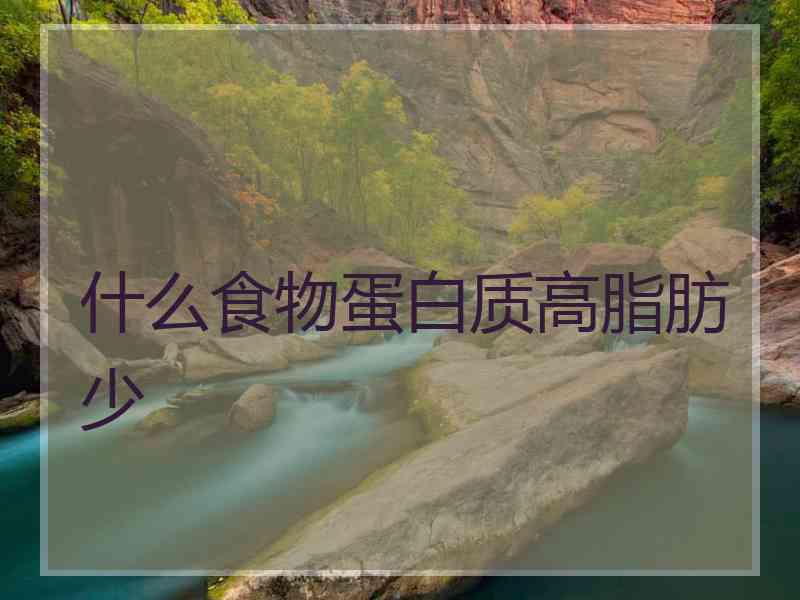 什么食物蛋白质高脂肪少