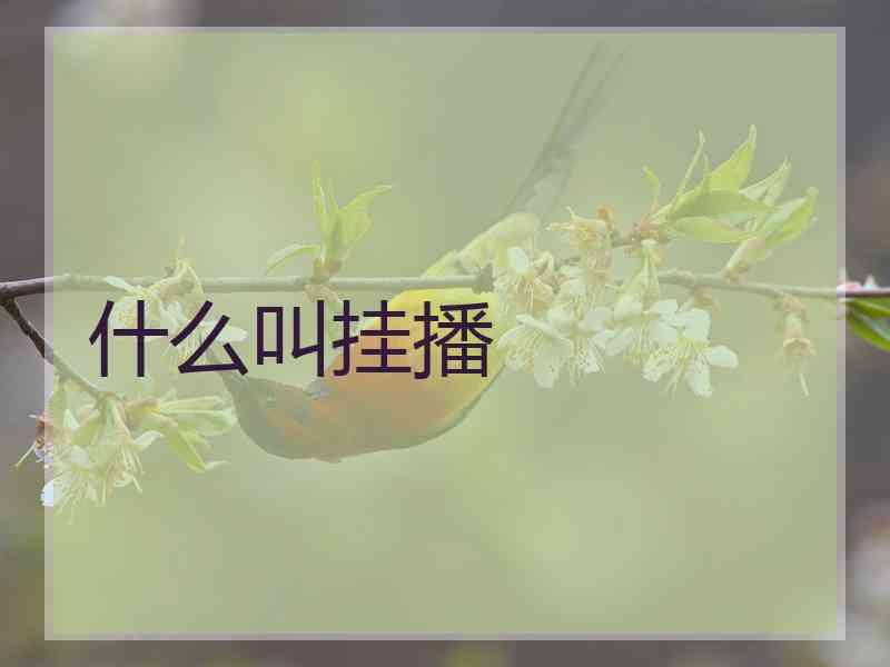 什么叫挂播