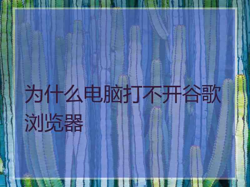为什么电脑打不开谷歌浏览器