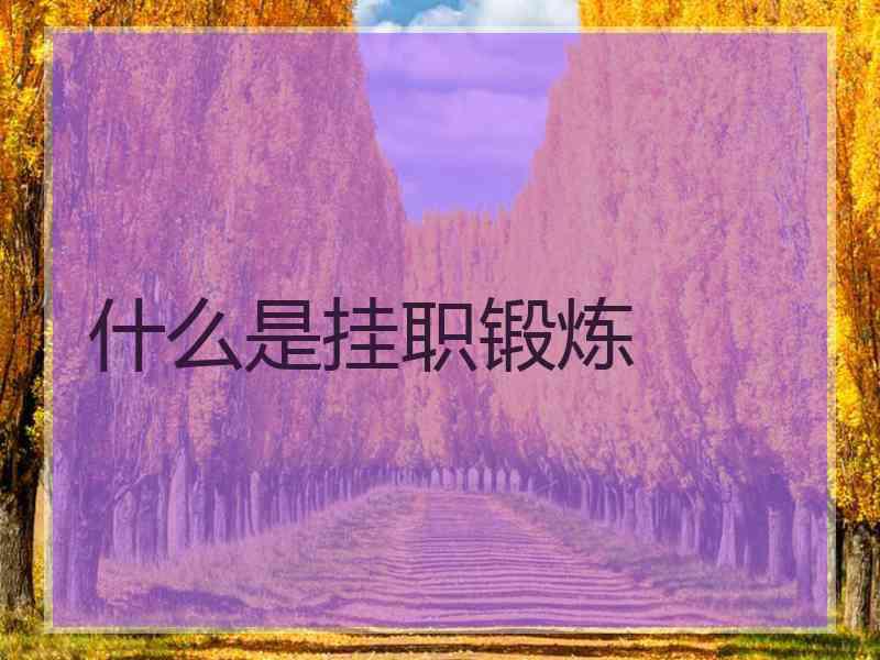 什么是挂职锻炼