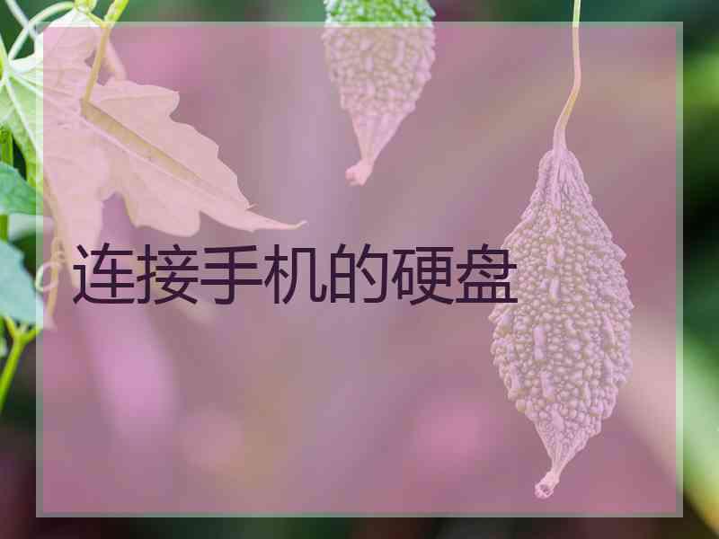 连接手机的硬盘