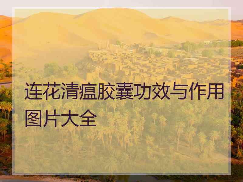 连花清瘟胶囊功效与作用图片大全