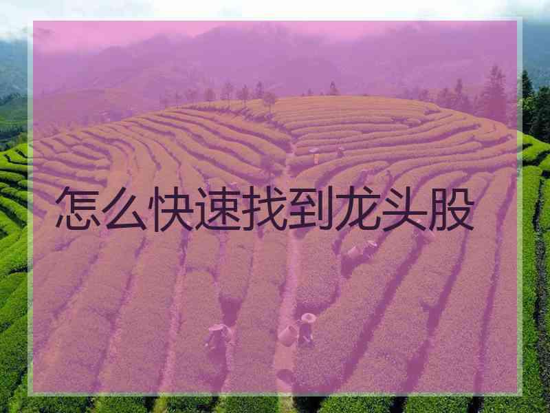 怎么快速找到龙头股