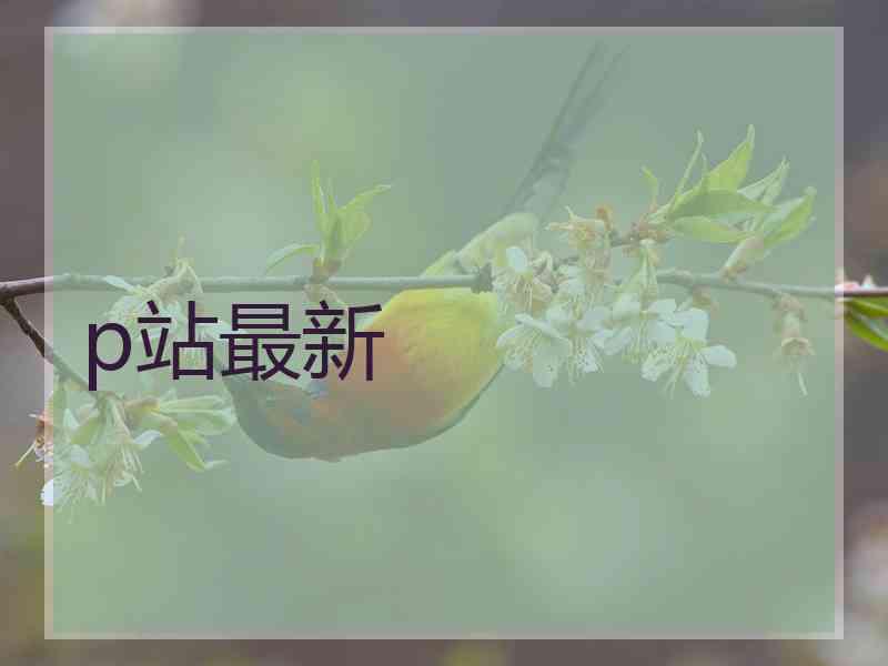 p站最新