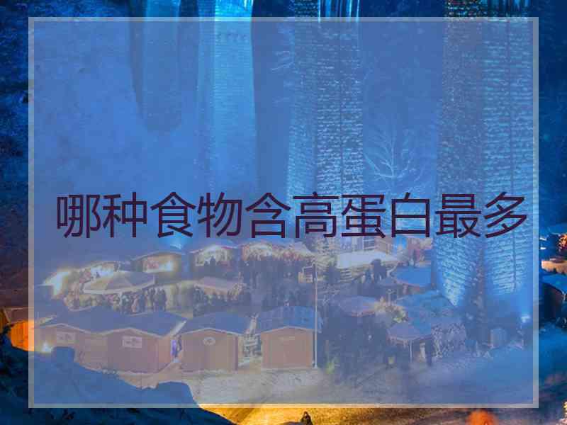 哪种食物含高蛋白最多