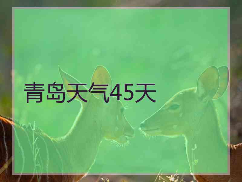 青岛天气45天