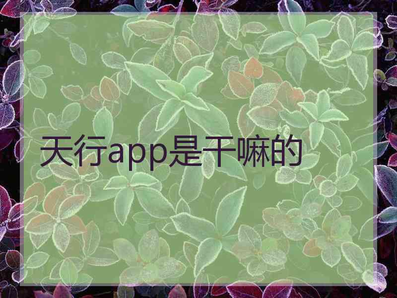 天行app是干嘛的