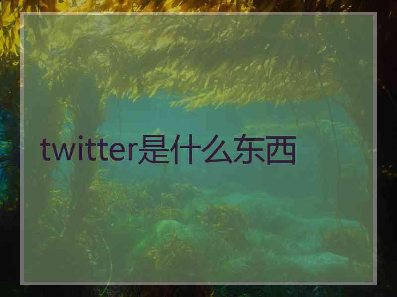 twitter是什么东西