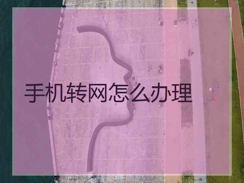 手机转网怎么办理