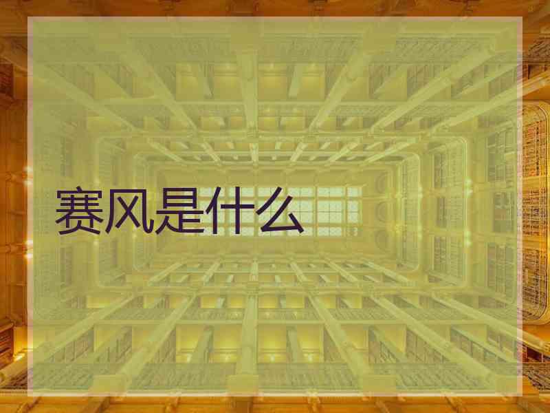 赛风是什么
