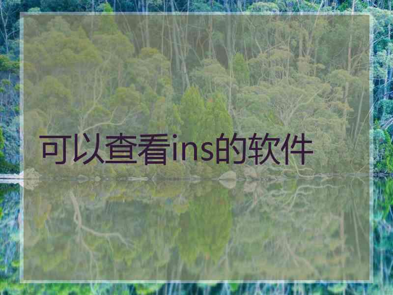 可以查看ins的软件