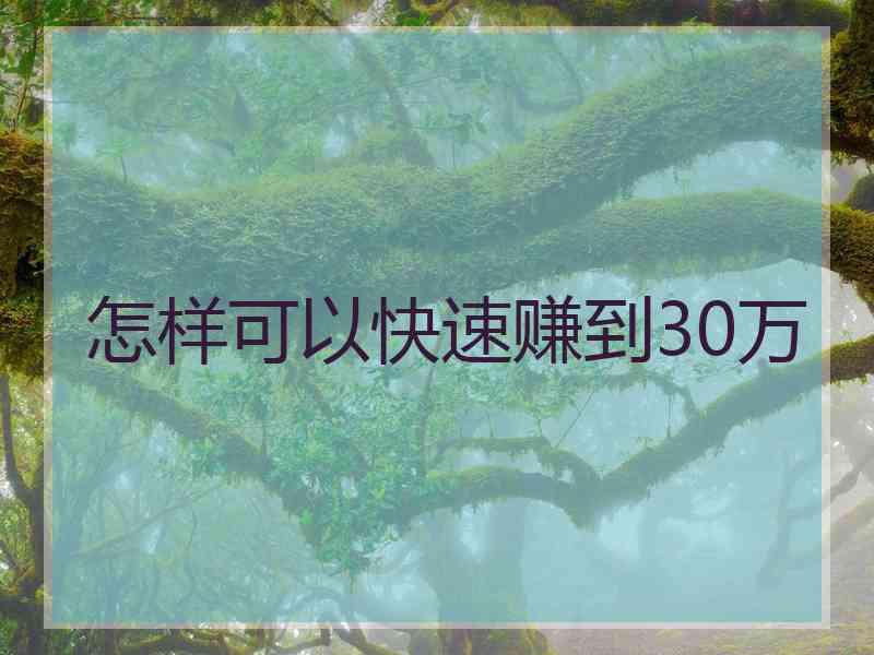 怎样可以快速赚到30万