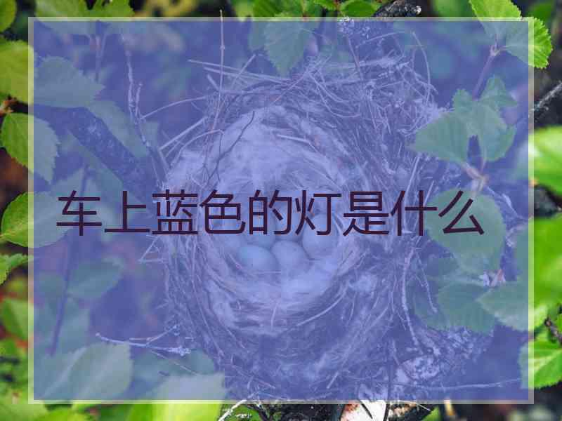 车上蓝色的灯是什么
