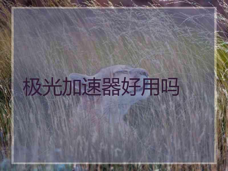 极光加速器好用吗