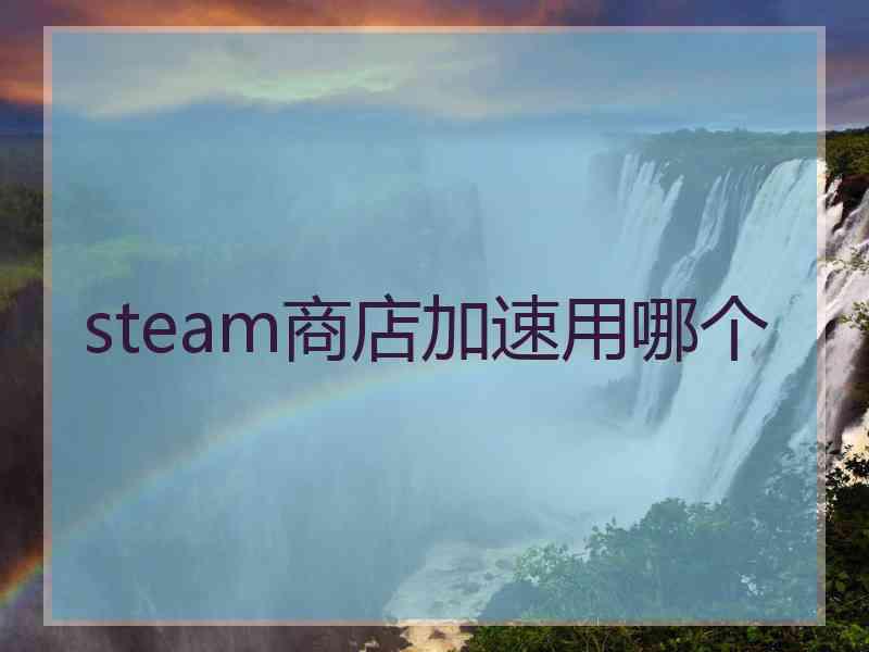 steam商店加速用哪个