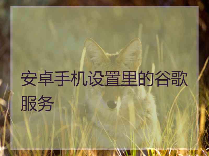 安卓手机设置里的谷歌服务