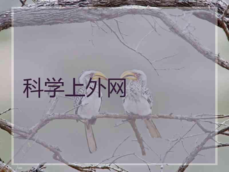 科学上外网