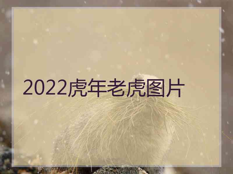 2022虎年老虎图片