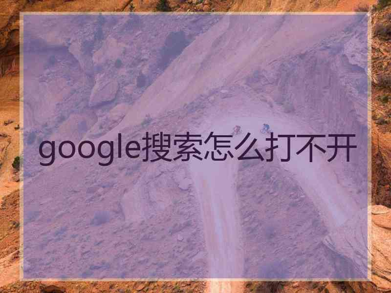 google搜索怎么打不开