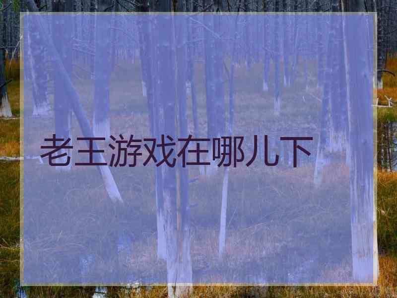 老王游戏在哪儿下