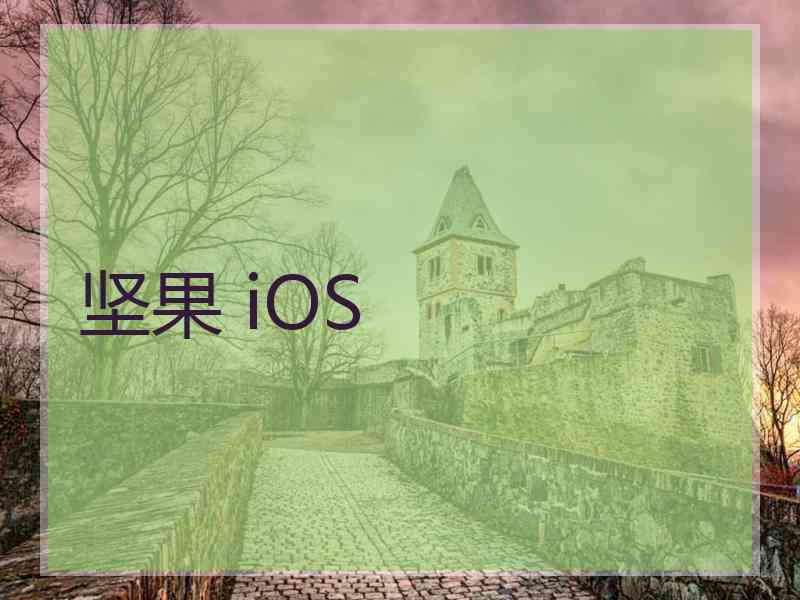 坚果 iOS
