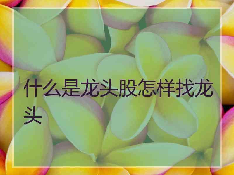 什么是龙头股怎样找龙头