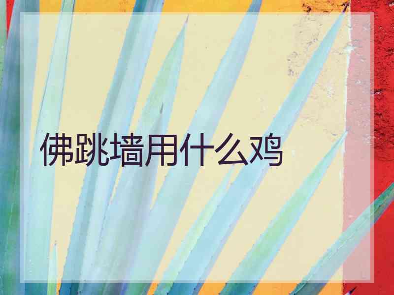 佛跳墙用什么鸡