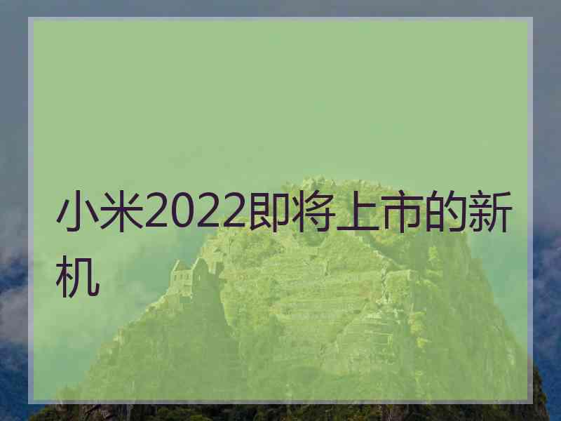 小米2022即将上市的新机