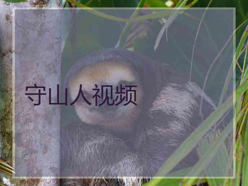 守山人视频