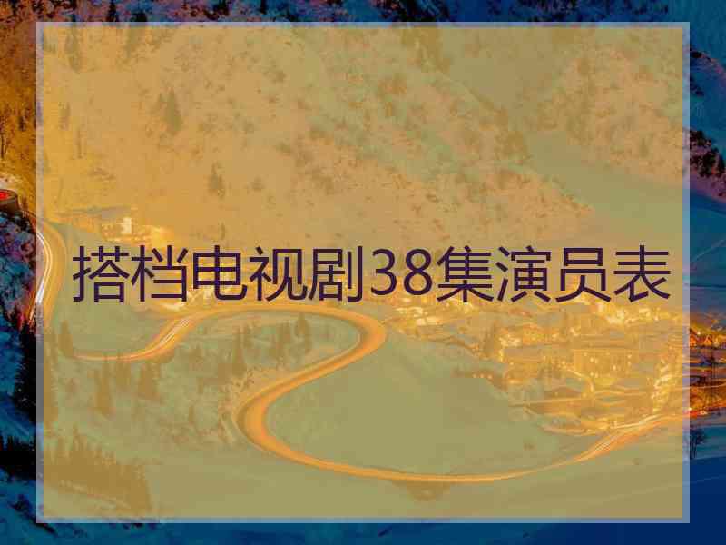 搭档电视剧38集演员表
