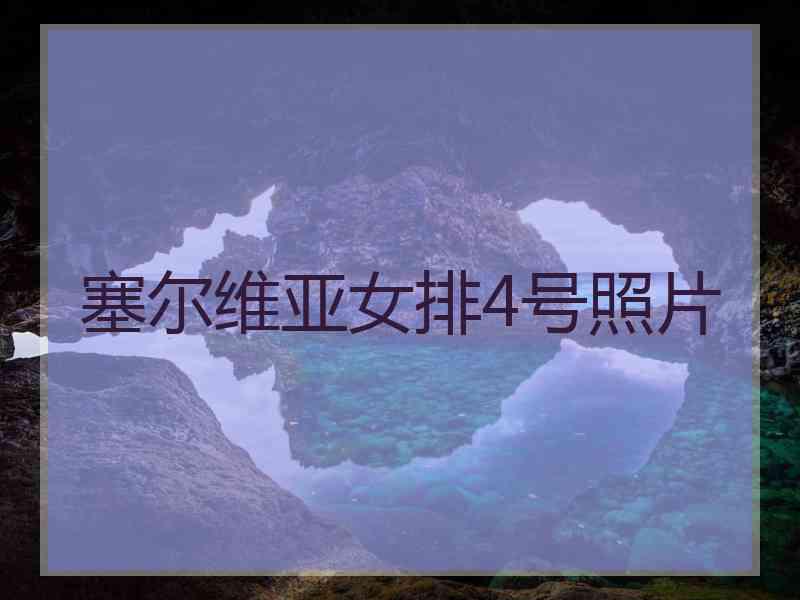 塞尔维亚女排4号照片