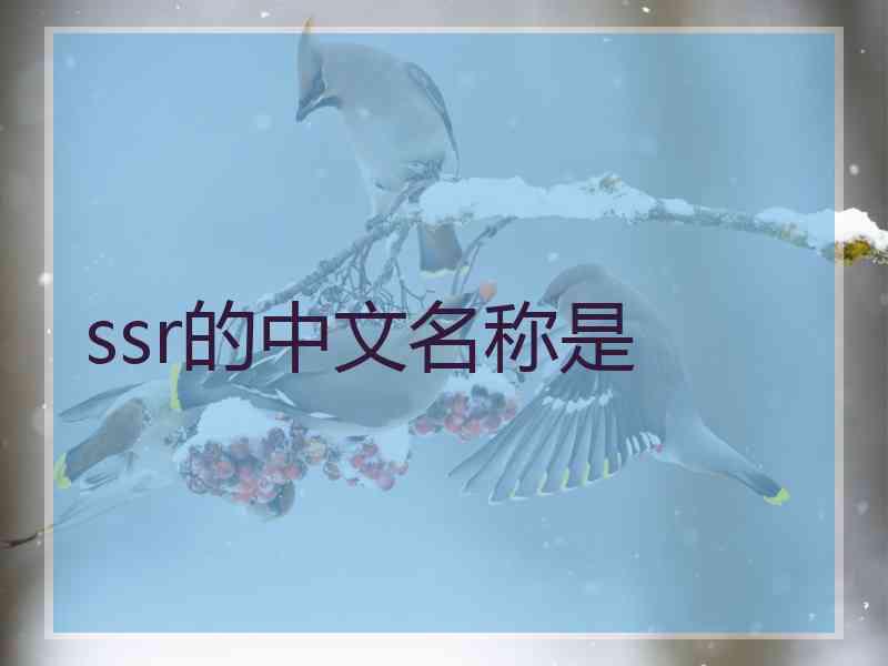 ssr的中文名称是