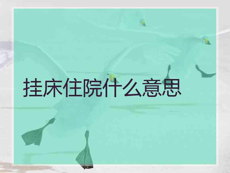 挂床住院什么意思