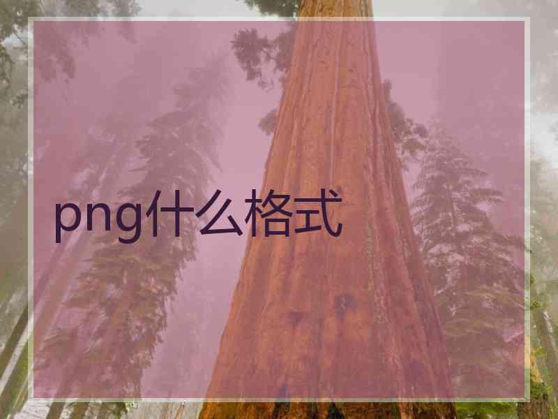 png什么格式