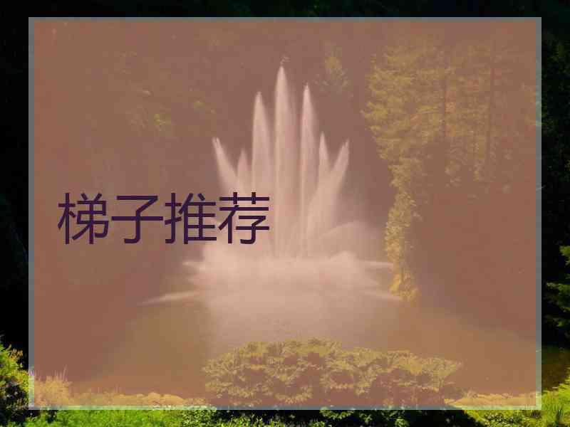 梯子推荐