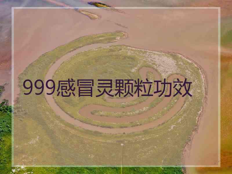 999感冒灵颗粒功效