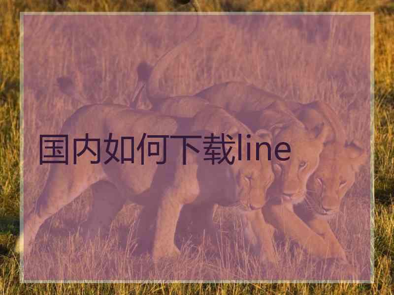 国内如何下载line