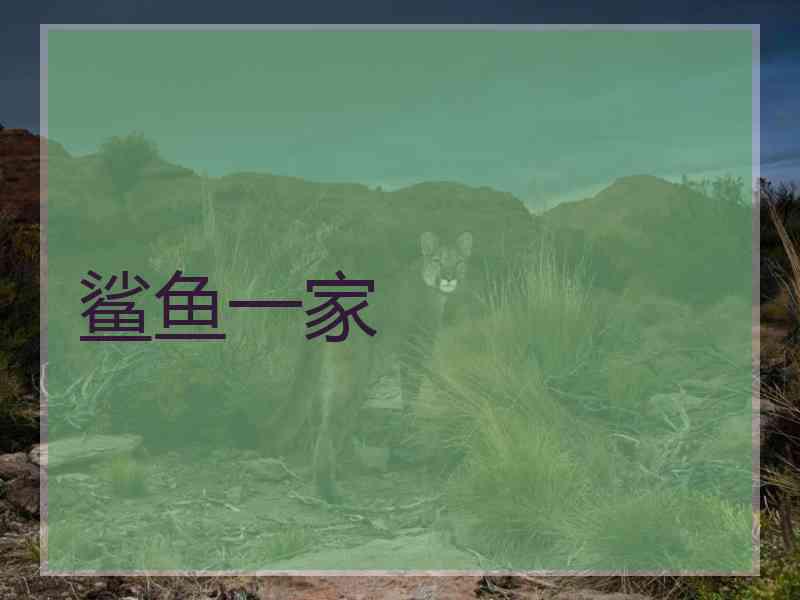 鲨鱼一家