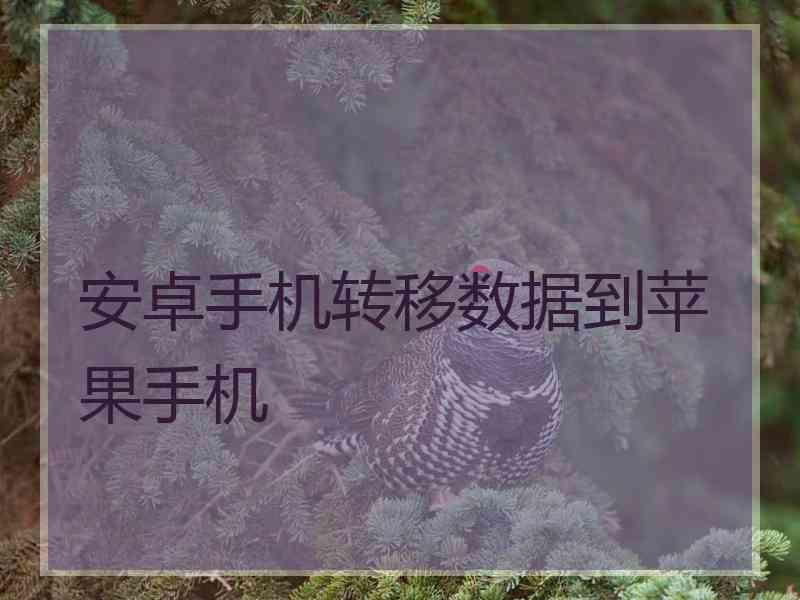 安卓手机转移数据到苹果手机