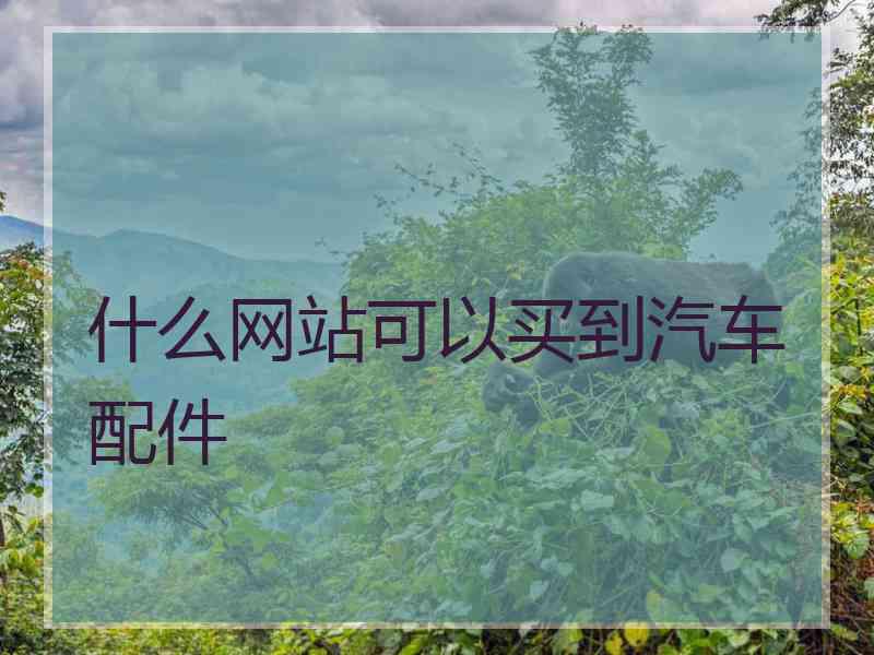 什么网站可以买到汽车配件