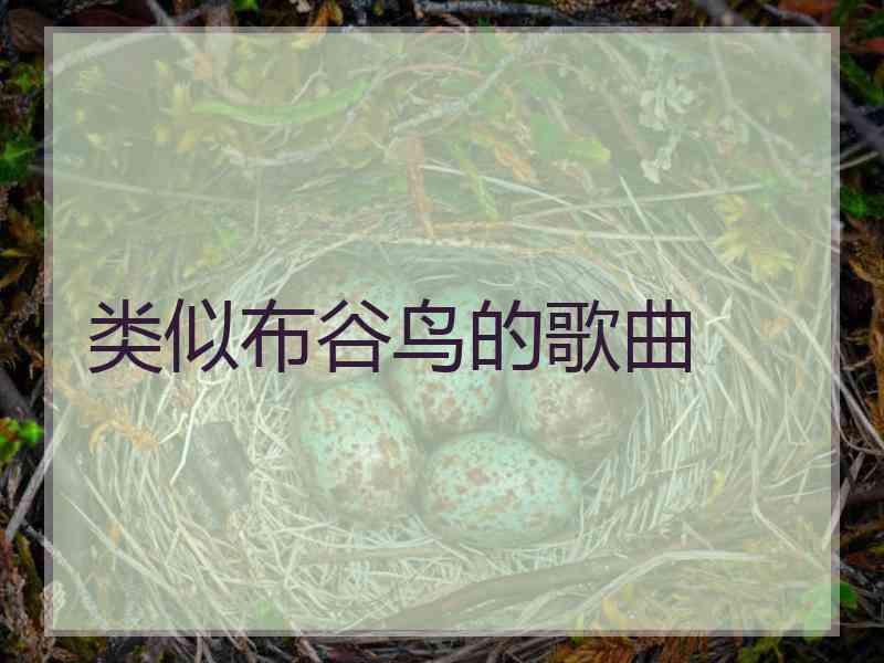 类似布谷鸟的歌曲
