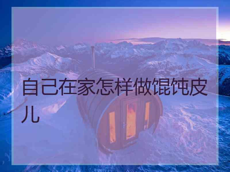 自己在家怎样做馄饨皮儿